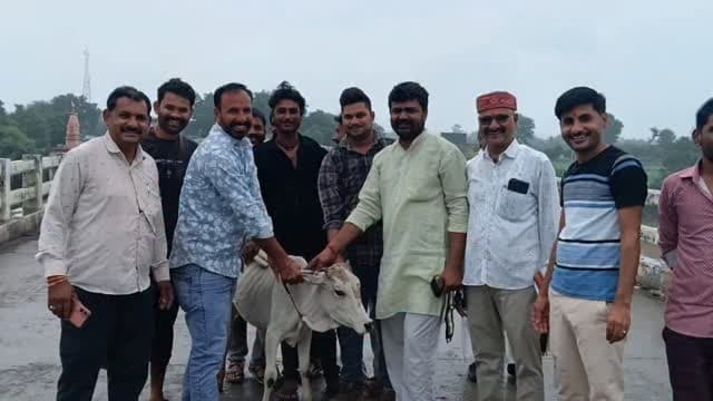 दुर्घटना की रोकथाम को लेकर चौमा पंचायत में बेसहारा मवेशियों के गले में लगाए रेडियम बेल्ट