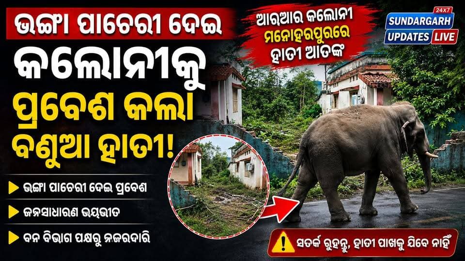 ଭଙ୍ଗା ପାଚେରୀ ଦେଇ କଲୋନୀକୁ ପଶିଲା ହାତୀ!
ଆରଆର କଲୋନୀ ମନୋହରପୁରରେ ହାତୀ ଆତଙ୍କ ଭଙ୍ଗା ପାଚେରୀ ଯୋଗୁଁ ବଢ଼ୁଛି ବିପଦ।
#ElephantInColony #ElephantAlert #ElephantAttack #HumanElephantConflict #RRColony #Manoharpur #Hemgir #Sundargarh #SundargarhDistrict #OdishaNews #Odisha #Wildlife #ElephantNews #ForestDepartment #BreakingNews #LocalNews #SundargarhUpdatesLive #SundargarhNews #OdishaNewsUpdate