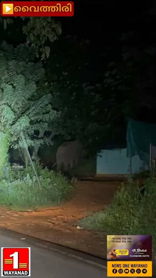 വൈത്തിരിയിൽ ദേശീയപാത 766 ചേലോട് പള്ളിക്ക് സമീപം കാട്ടാനകൾ
#newsonewayanad