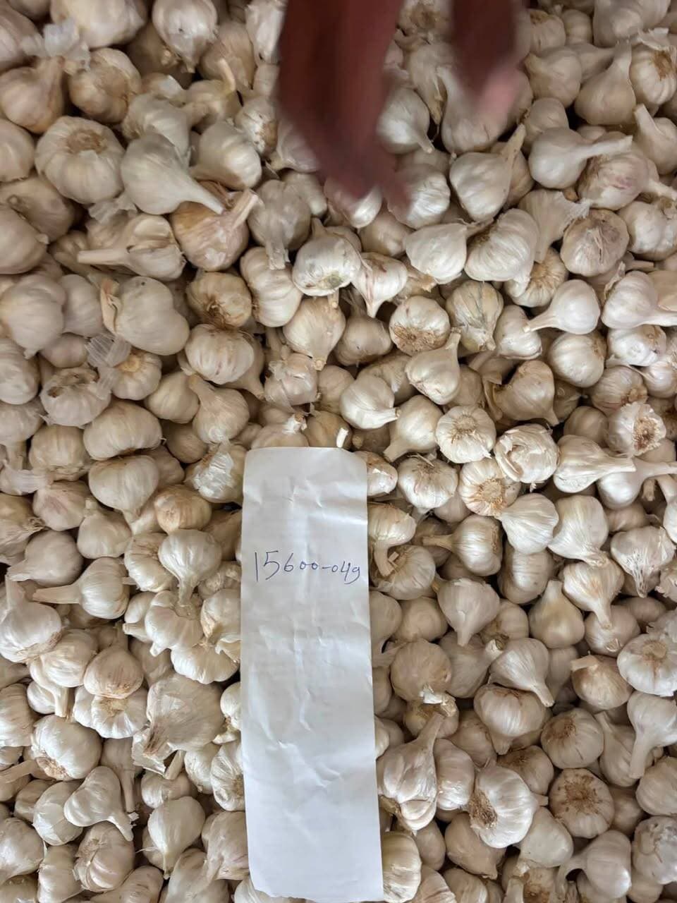 21 अगस्त 2026