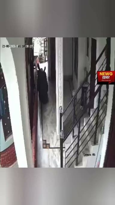 सुंदरनगर के भोजपुर में युवक के ऊपर बंदरों का खतरनाक हमला