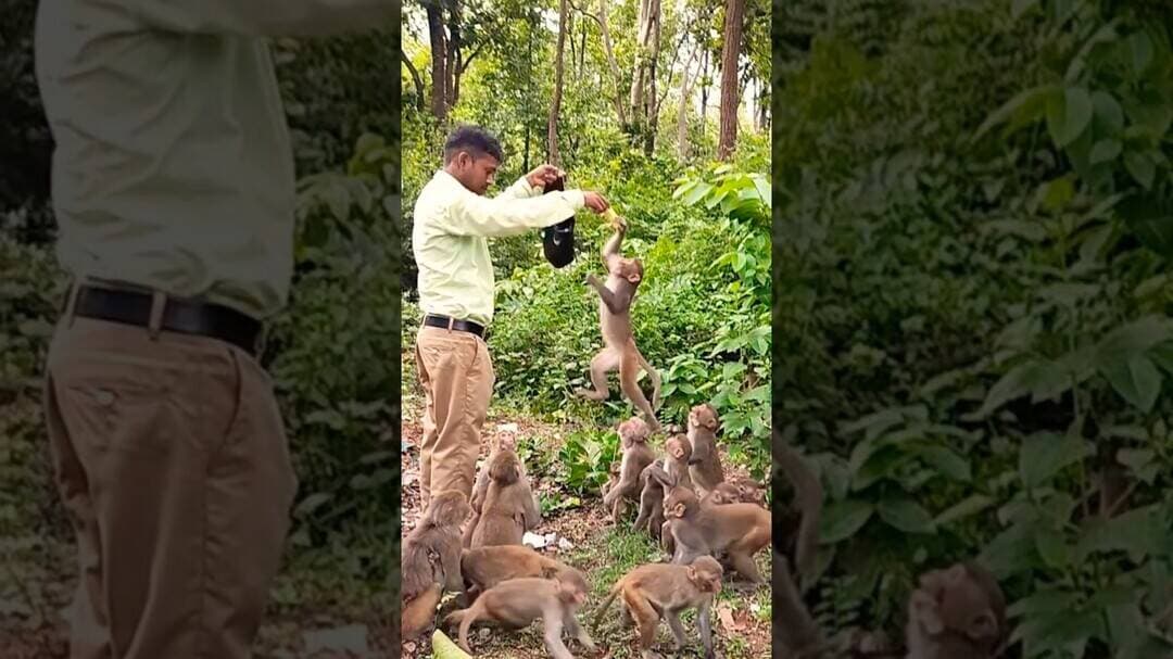 बच्चे की उड़ान देखिये #shortsviral