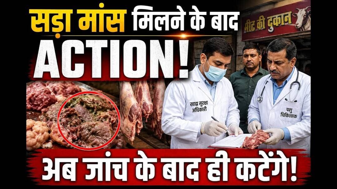 सड़ा मांस मिलने के बाद एक्शन! बेरीनाग में मीट कारोबारियों पर सख्ती, जांच के बाद ही कटेंगे मुर्गे #yt