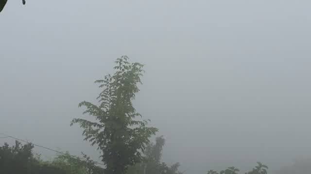 अपना पहाड़।.