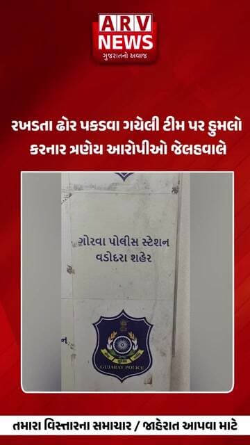 Vadodara રખડતા ઢોર પકડવા ગયેલી ટીમ પર હુમલો કરનાર ત્રણેય આરોપીઓ જેલહવાલે || ARV NEWS ||