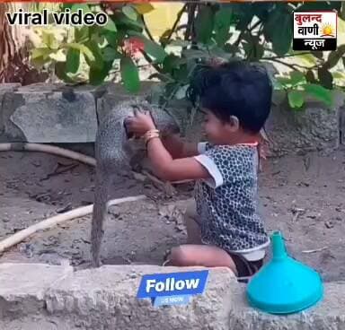 बच्ची और नेवले की अनोखी दोस्ती, घर के बाहर घंटों चलता रहा खेल #वायरल #वीडियो #News #reporting/ #awareness
गोरखपुर। घर के बाहर खेल रही एक बच्ची के पास अचानक खेत से निकलकर एक नेवला पहुंच गया। नेवला बच्ची से डरने के बजाय उसके साथ खेलने लगा। कभी वह बच्ची के हाथ-पैर पर कूदता तो कभी उसके सामने खड़ा होकर उसे निहारता।
हैरानी की बात यह रही कि बच्ची भी बिना डरे नेवले के साथ खेलती रही। नेवले ने बच्ची को कोई नुकसान नहीं पहुंचाया। यह नजारा देखकर बच्ची की मां पहले तो घबरा गईं, लेकिन कुछ देर बाद उन्हें समझ आया कि नेवला बच्ची के साथ खेल रहा है। बच्ची और नेवले की यह अनोखी दोस्ती देखकर आसपास के लोग भी हैरान रह गए।