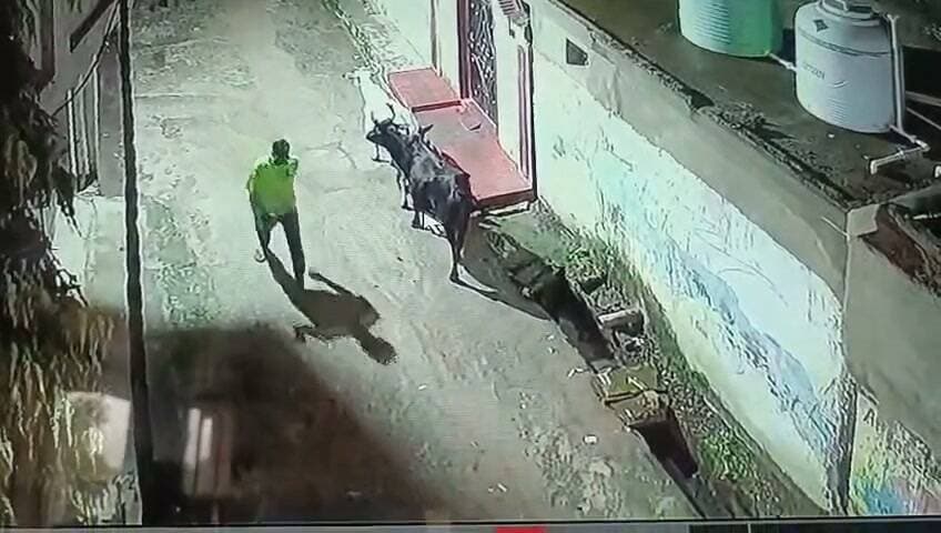 चंदिया में चोरी,
चोर घर से बाहर निकलता
सीसीटीवी में कैद