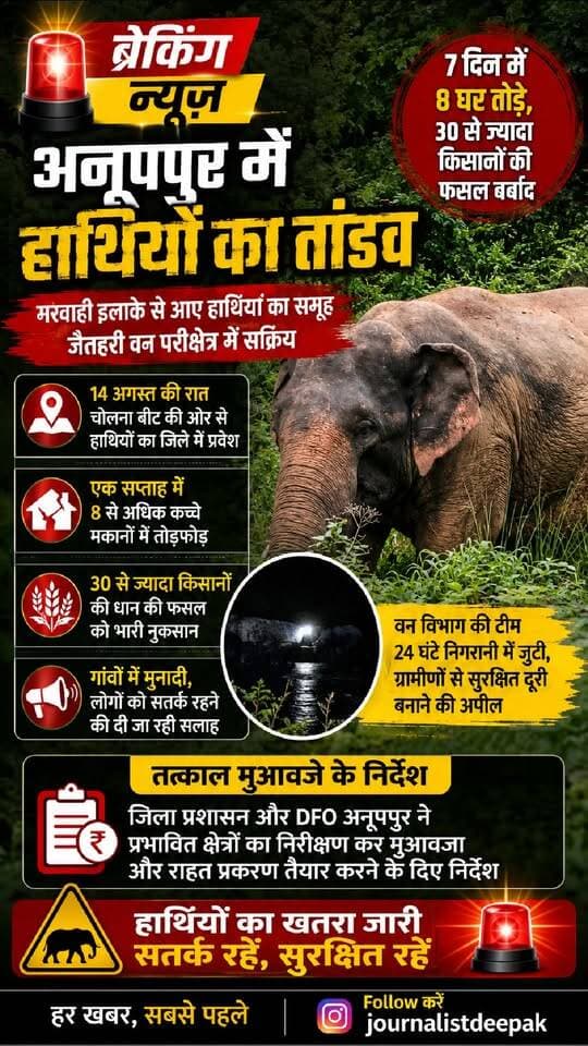 💥 अनूपपुर में हाथियों का तांडव!
जैतहरी वन परिक्षेत्र में छत्तीसगढ़ के मरवाही इलाके से पहुंचे हाथियों के समूह ने ग्रामीणों की मुश्किलें बढ़ा दी हैं। पिछले 7 दिनों में 8 से ज्यादा कच्चे मकानों में तोड़फोड़ और 30 से ज्यादा किसानों की धान की फसल को नुकसान पहुंचने की जानकारी सामने आई है।
हाथियों की लगातार आवाजाही से ग्रामीणों में दहशत का माहौल है। वन विभाग की टीम 24 घंटे निगरानी कर रही है और गांवों में मुनादी कराकर लोगों को सतर्क रहने की सलाह दी जा रही है।
प्रशासन ने प्रभावित ग्रामीणों के मुआवजा एवं राहत प्रकरण तैयार करने के निर्देश भी दिए हैं।
हाथियों का खतरा जारी—सतर्क रहें, सुरक्षित रहें।
📍 अनूपपुर | जैतहरी
#अनूपपुर #Anuppur #जैतहरी #हाथी #Elephant #ElephantAttack #हाथियोंकातांडव #वनविभाग #Jaitahari #MPNews #MadhyaPradesh #BreakingNews #LatestNews #ग्रामीण #किसान #फसलनुकसान #Wildlife #ElephantNews #JournalistDeepak