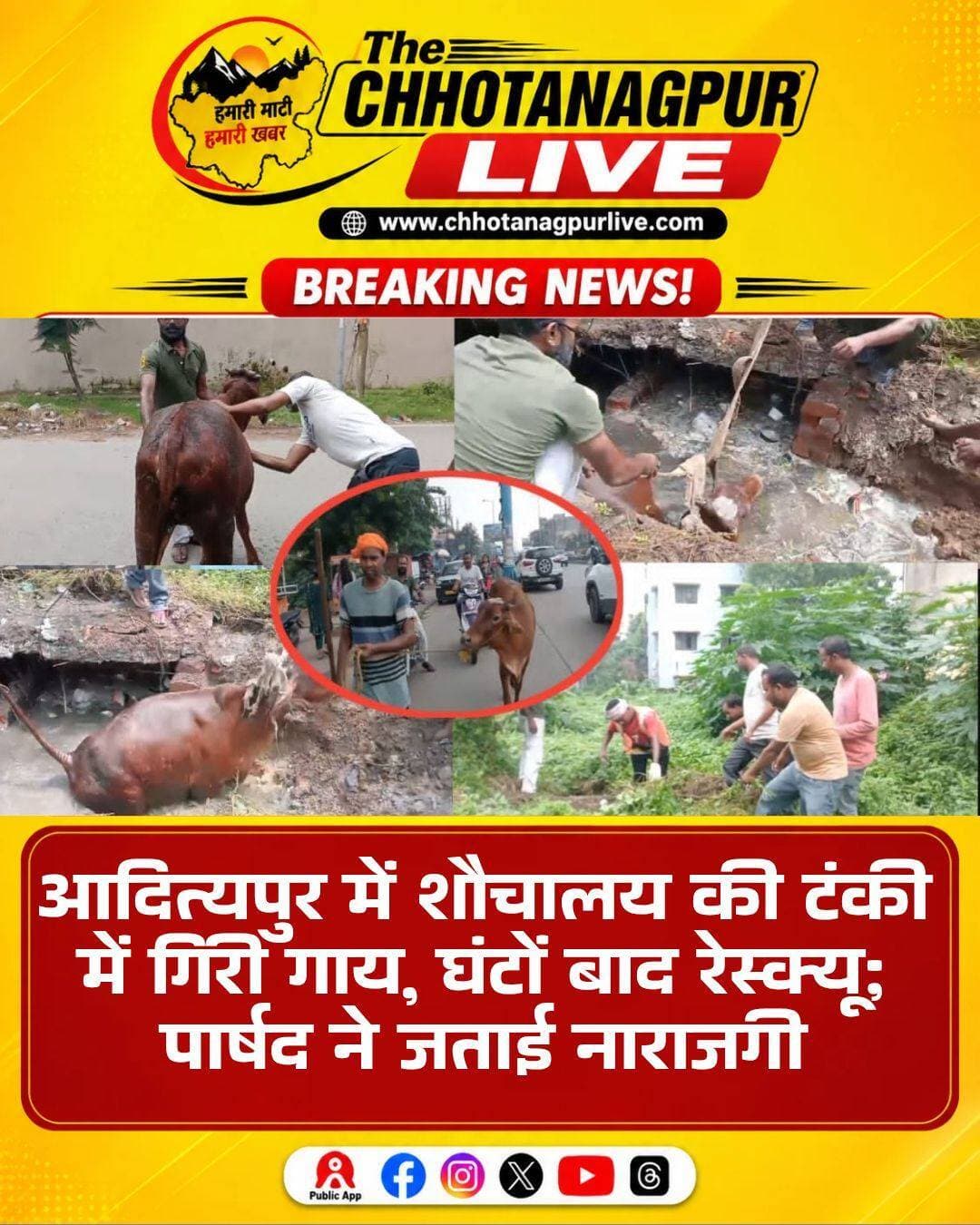 आदित्यपुर में शौचालय की टंकी में गिरी गाय, घंटों बाद रेस्क्यू
आदित्यपुर नगर निगम के वार्ड संख्या-17 में शनिवार को उस समय अफरा-तफरी मच गई, जब सेंट्रल पब्लिक स्कूल के पास एक गाय शौचालय की टंकी में फंसी मिली। बताया जा रहा है कि गाय शुक्रवार दोपहर से ही टंकी में गिरी हुई थी, लेकिन इसकी जानकारी शनिवार तक किसी को नहीं हो सकी।
शनिवार को टंकी के अंदर से गाय के जोर-जोर से रंभाने की आवाज सुनाई दी। आवाज सुनकर स्थानीय लोग मौके पर पहुंचे और देखा कि गाय टंकी में फंसी हुई है। इसके बाद लोगों ने मामले की जानकारी वार्ड पार्षद नीतू शर्मा को दी।
सूचना मिलते ही पार्षद ने नगर निगम के संबंधित अधिकारियों को रेस्क्यू टीम भेजने का निर्देश दिया। नगर निगम की टीम मौके पर पहुंची और काफी मशक्कत के बाद गाय को सुरक्षित टंकी से बाहर निकाला। रेस्क्यू के बाद गाय की सफाई भी की गई।
इस रेस्क्यू अभियान में मंटू तोमर, प्रदीप मुखी, दीपक सिंह, विमल बेहरा, अमित कुमार सिंह, अरुण हरिजन, सूरज, आशु मुखी और सुभाष सोय समेत निगम कर्मियों ने अहम भूमिका निभाई।
घटना को लेकर पार्षद नीतू शर्मा ने शौचालय की टंकी खुली छोड़ने पर नाराजगी जताई। उन्होंने कहा कि खुली टंकी किसी के लिए भी खतरा बन सकती है। उन्होंने मामले की जांच कर टंकी को खुला छोड़ने वाले व्यक्ति और गाय के मालिक की जिम्मेदारी तय करने की बात कही।
रेस्क्यू के बाद पार्षद के निर्देश पर गाय को नगर निगम कार्यालय ले जाया गया। उन्होंने कहा कि जब तक गाय का मालिक सामने नहीं आता, तब तक गाय निगम की देखरेख में रहेगी। रेस्क्यू टीम के प्रयासों की सराहना करते हुए उन्होंने कर्मियों को निजी तौर पर सम्मानित करने की बात भी कही।
पार्षद ने मवेशी पालकों से अपील करते हुए कहा कि दूध देना बंद करने के बाद मवेशियों को खुले में छोड़ना गलत है। उन्होंने कहा कि ऐसी लापरवाही से मवेशियों की जान खतरे में पड़ सकती है और जिम्मेदार लोगों पर कार्रवाई की जरूरत है।
घटना के बाद खुले शौचालय, असुरक्षित टंकियों और सड़कों पर घूमने वाले मवेशियों की सुरक्षा को लेकर भी सवाल उठने लगे हैं। समय रहते गाय की आवाज लोगों तक नहीं पहुंचती तो उसकी जान पर बन सकती थी।
<nis:link nis:type=tag nis:id=adityapur nis:value=Adityapur nis:enabled=true nis:link/> <nis:link nis:type=tag nis:id=adityapurnews nis:value=AdityapurNews nis:enabled=true nis:link/> <nis:link nis:type=tag nis:id=seraikelakharsawan nis:value=SeraikelaKharsawan nis:enabled=true nis:link/> <nis:link nis:type=tag nis:id=jharkhandnews nis:value=JharkhandNews nis:enabled=true nis:link/> <nis:link nis:type=tag nis:id=cowrescue nis:value=CowRescue nis:enabled=true nis:link/> <nis:link nis:type=tag nis:id=animalrescue nis:value=AnimalRescue nis:enabled=true nis:link/> <nis:link nis:type=tag nis:id=municipalcorporation nis:value=MunicipalCorporation nis:enabled=true nis:link/> <nis:link nis:type=tag nis:id=adityapurmunicipalcorporation nis:value=AdityapurMunicipalCorporation nis:enabled=true nis:link/> <nis:link nis:type=tag nis:id=jharkhandnewsupdate nis:value=JharkhandNewsUpdate nis:enabled=true nis:link/> <nis:link nis:type=tag nis:id=chhotanagpurlive nis:value=ChhotanagpurLive nis:enabled=true nis:link/>