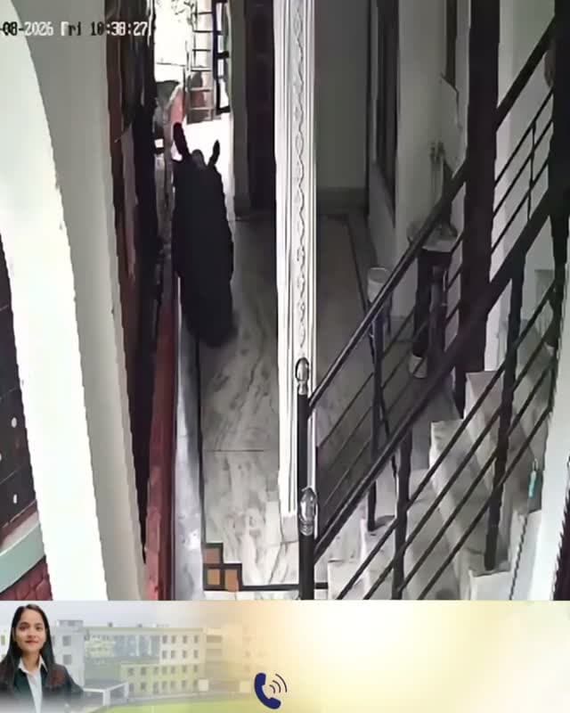 बंदरों के आतंक से सहमा सुंदरनगर का भोजपुर बाजार, घरों में रहना भी हुआ मुश्किल
कपड़े सुखाने से लेकर बाहर निकलने तक पर संकट, सीसीटीवी कैमरे में कैद हुआ बंदरों का उत्पात
संयुक्त व्यापार संगठन ने प्रशासन और वन विभाग से तत्काल कार्रवाई की उठाई मांग.. 👇🏻