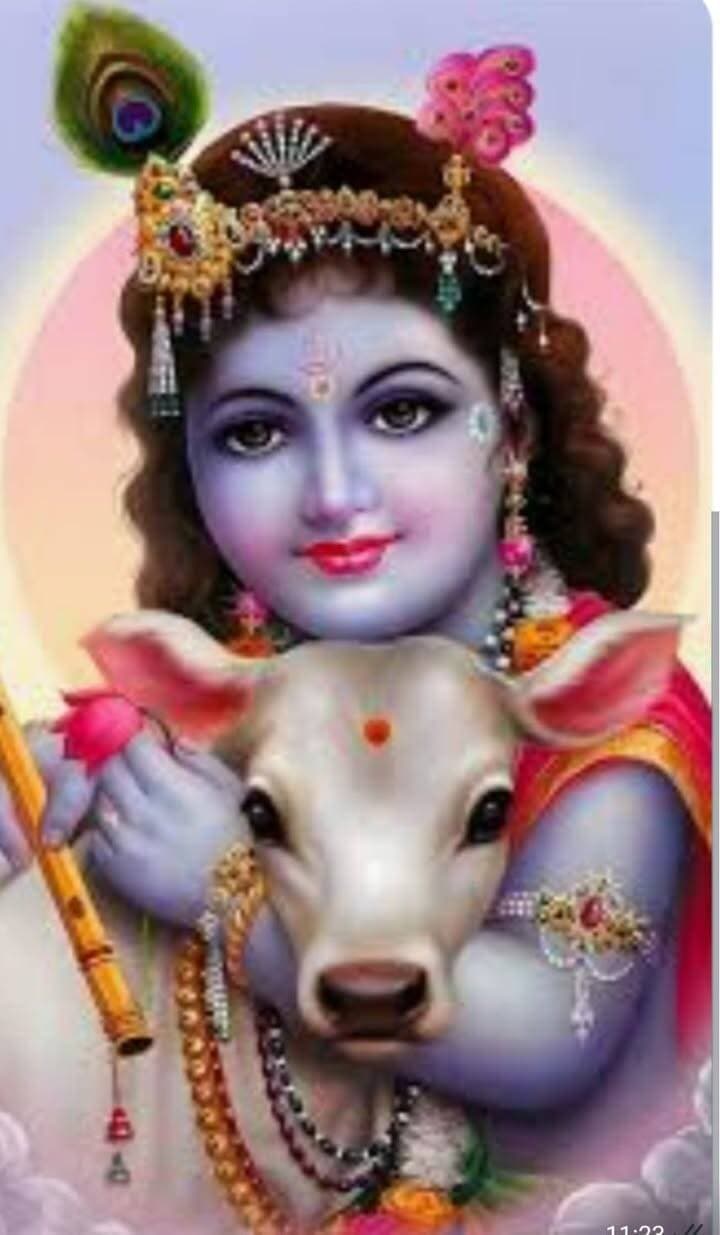 *जन्माष्टमी पर संकटमोचन हनुमान मंदिर पर सजेगी झांकिया, कृष्ण लीलाओं के साथ दिखेंगी ‘महाभारत’ की झलक*
*मंदिर पर सजेंगी 25 से अधिक विद्युतचलित झांकिया, हनुमानजी महाराज के चढ़ेगा डायमण्ड चोला*
भीलवाड़ा :निलेश कांठेड़ ( वरिष्ठ पत्रकार) 22 अगस्त भगवान कृष्ण का जन्मोत्सव जन्माष्टमी पर्व 4 सितम्बर को धर्मनगरी भीलवाड़ा में भक्तों के लिए यादगार व खास बनाने के लिए मुख्य डाकघर के पास स्थित संकटमोचन हनुमान मंदिर पर तैयारियां शुरू हो गई है। उल्लास एवं उत्साह से भरे माहौल में महामंडलेश्वर बाबूगिरीजी महाराज के सान्निध्य में मनाए जाने वाले जन्माष्टमी पर्व पर मंदिर में 25 से अधिक विद्युतचलित झांकिया मुख्य आकर्षण होंगी। इन झांकियों में इस बार विशेष आकर्षण ‘‘महाभारत’’ के विभिन्न प्रसंगों की झलक दिखाने वाली झांकी होंगी। इन झांकियों के माध्यम से भगवान कृष्ण के जीवन से जुड़े विभिन्न प्रसंगों का चित्रण होने के साथ विभिन्न सामाजिक संदेश भी प्रदान किए जाएंगे। इन झांकियों में कारागृह में कृष्ण जन्म, गोकुल में बाल लीला, कंस वध, पूतना वध, कृष्ण-सुदामा मिलन जैसे कई प्रसंगों की झांकिया भी होगी। कई झांकिंया हवा में उड़ती हुई दिखेगी जो भक्तों को आकर्षित करेंगी। ‘‘छोटा योगी’’ की जीवंत झांकी भी आकर्षण का केन्द्र रहेगी। संकटमोचन हनुमान मंदिर ट्रस्ट के ट्रस्टी सांवरमल बंसल, महावीर अग्रवाल व रमेशचन्द बंसल ने बताया कि जन्माष्टमी पर फूलों से एवं रंग-बिरंगी रोशनी से मंदिर पर आकर्षक सजावट करने के साथ हनुमानजी महाराज के डायमंड का चोला चढ़ाया जाएगा। जन्माष्टमी पर प्रदर्शित की जाने वाली विभिन्न झांकिया आगरा, दिल्ली व मथुरा से आने वाले 20 से अधिक कलाकारों द्वारा तैयार की जाएगी। जन्माष्टमी पर गोलप्याउ चौराहे से नगर निगम चौराहे तक आकर्षक रोशनी एवं सजावट हांेंगी। शाम 5 बजे से झांकियों का दर्शन शुरू हो जाएगा एवं बाल गोपाल भगवान कृष्ण का जन्मोत्सव मध्यरात्रि में मनाया जाएगा। जयकारों के बीच भगवान लड्डु गोपाल का पंचामृत से अभिषेक कर पंजीरी व माखन-मिश्री का भोग लगाया जाएगा। इस अवसर पर केक भी काटा जाएगा। महामंडलेश्वर बाबूगिरीजी महाराज ने बताया कि जन्माष्टमी महोत्सव को भव्य एवं यादगार तरीके से मनाने के लिए व्यापक स्तर पर तैयारियां की जा रही है। गोलप्याउ चौराहा से लेकर नगर निगम चौराहा तक रंग-बिरंगी रोशनी के बीच मंदिर परिसर को फूलों से सजाया जाएगा। इस आयोजन को सफल बनाने में समाज के सभी वर्गों एवं भक्तजनों से भी सहयोग प्राप्त हो रहा है। पिछले कुछ वर्षो से भीलवाड़ा शहर में जन्माष्टमी पर मुख्य आकर्षण संकटमोचन हनुमान मंदिर पर मनाया जाने वाला कृष्ण जन्मोत्सव ही रहता है। यहां हर वर्ष जन्माष्टमी पर दर्शन के लिए हजारों कृष्ण भक्तों का सैलाब उमड़ता है।