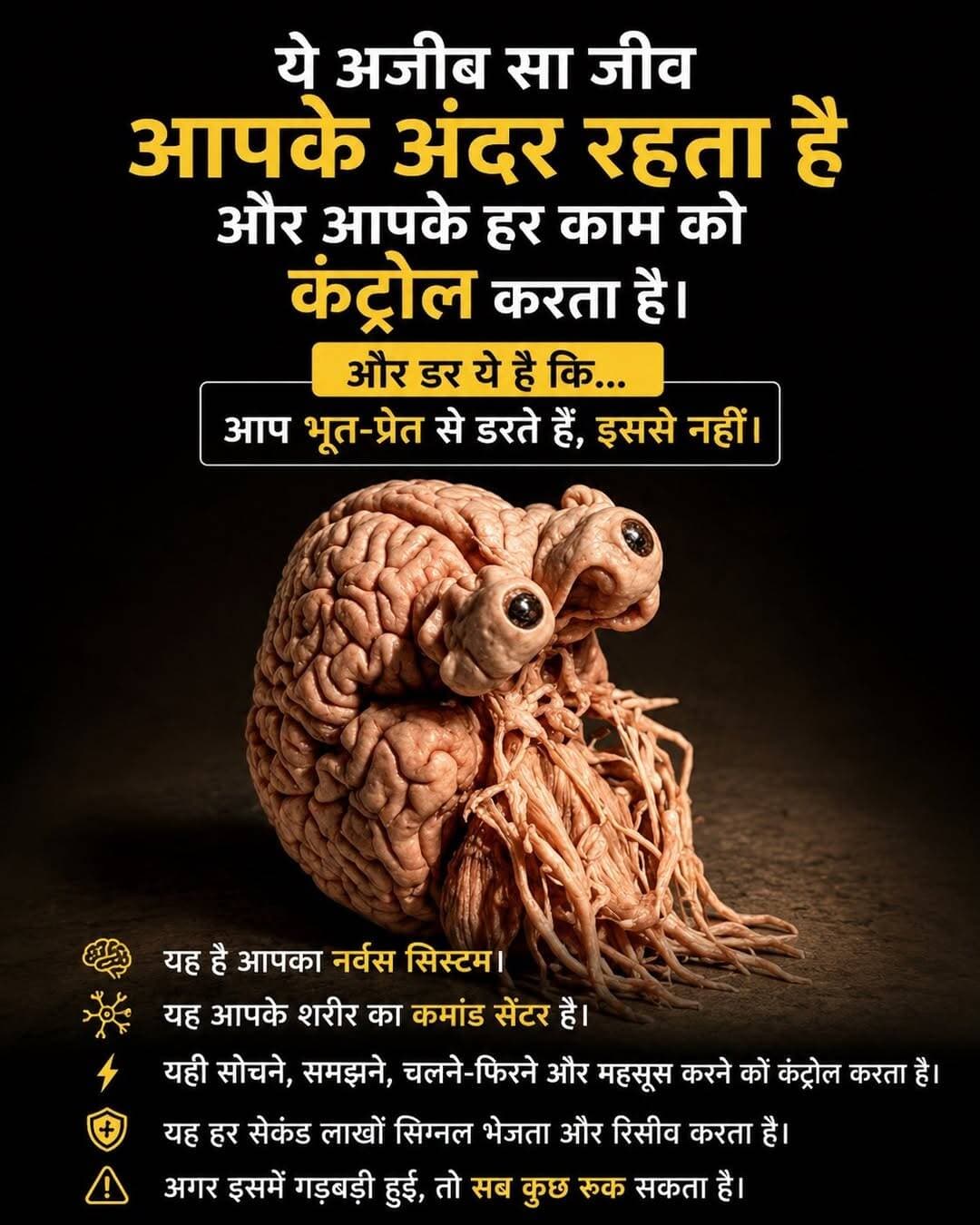 सुबह आंख खुलने से लेकर रात को नींद आने तक आपका शरीर लगातार काम करता रहता है। आप चलते हैं, बोलते हैं, देखते हैं, सुनते हैं, दर्द महसूस करते हैं और बिना सोचे सांस लेते रहते हैं।
लेकिन इन सबके पीछे एक ऐसा सिस्टम है, जो हर पल आपके शरीर के साथ बातचीत कर रहा है।
ये है आपका नर्वस सिस्टम।
इस सिस्टम का सबसे बड़ा कंट्रोल सेंटर है आपका दिमाग। शरीर के अंदर मौजूद अरबों न्यूरॉन्स आपस में लगातार इलेक्ट्रिकल और केमिकल सिग्नल भेजते रहते हैं।
आपका हाथ किसी गर्म चीज को छूता है, तो आपको सोचने का मौका मिलने से पहले ही शरीर प्रतिक्रिया शुरू कर देता है। कुछ मामलों में रीढ़ की हड्डी से जुड़े रिफ्लेक्स रास्ते हाथ को तुरंत पीछे खींचने में मदद करते हैं।
यानी आपका शरीर सिर्फ आदेश का इंतजार नहीं करता, बल्कि खतरे को पहचानकर कई बार तुरंत प्रतिक्रिया भी देता है।
और यही सिस्टम सिर्फ हाथ-पैर चलाने का काम नहीं करता।
आप जो देखते हैं, जो सुनते हैं, जो महसूस करते हैं, जो याद रखते हैं और जिस तरह किसी चीज के बारे में सोचते हैं—इन सबमें नर्वस सिस्टम की बड़ी भूमिका होती है।
इतना ही नहीं, आपके शरीर के अंदर भी लगातार काम चल रहा है।
दिल की धड़कन, सांस लेने की गति, पाचन, शरीर का तापमान और कई ऐसी प्रक्रियाएं हैं, जिन पर आपको हर सेकंड ध्यान देने की जरूरत नहीं पड़ती।
आप सो रहे होते हैं, लेकिन आपका नर्वस सिस्टम काम करता रहता है।
अब सोचिए, अगर इस पूरे नेटवर्क में कहीं सिग्नल ठीक से पहुंचना बंद हो जाए तो क्या होगा?
शरीर के अलग-अलग हिस्सों तक संदेश पहुंचने में दिक्कत हो सकती है। महसूस करने, हिलने-डुलने या शरीर के दूसरे कामों पर भी असर पड़ सकता है।
यही वजह है कि नर्वस सिस्टम को शरीर का एक बेहद जटिल कमांड और कम्युनिकेशन नेटवर्क माना जाता है।
हर सेकंड आपके अंदर अनगिनत संकेत इधर से उधर जा रहे हैं, और आपको इनमें से ज्यादातर का एहसास तक नहीं होता।
सबसे अजीब बात यही है—आपका शरीर बाहर से जितना शांत दिखाई देता है, अंदर से उतना ही व्यस्त है।
और इस पूरे सिस्टम का असली बॉस सिर्फ दिमाग नहीं है… दिमाग, रीढ़ की हड्डी और पूरे शरीर में फैला नर्वस नेटवर्क मिलकर आपको हर पल “आप” बनाए रखते हैं।
<nis:link nis:type=tag nis:id=brain nis:value=brain nis:enabled=true nis:link/> <nis:link nis:type=tag nis:id=brainhealth nis:value=brainhealth nis:enabled=true nis:link/> <nis:link nis:type=tag nis:id=neuroscience nis:value=neuroscience nis:enabled=true nis:link/> <nis:link nis:type=tag nis:id=health nis:value=health nis:enabled=true nis:link/> <nis:link nis:type=tag nis:id=mentalhealth nis:value=mentalhealth nis:enabled=true nis:link/> <nis:link nis:type=tag nis:id=mind nis:value=mind nis:enabled=true nis:link/> <nis:link nis:type=tag nis:id=neurology nis:value=neurology nis:enabled=true nis:link/> <nis:link nis:type=tag nis:id=science nis:value=science nis:enabled=true nis:link/>