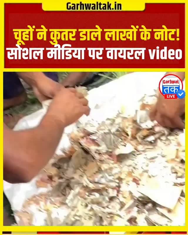 चूहों ने कुतर डाले नोट
सोशल मीडिया पर एक वीडियो तेजी से वायरल हो रहा है, जिसमें कई लोग कुतरे हुए नोटों को गिनते नजर आ रहे हैं। दावा किया जा रहा है कि भारत के किसी राज्य में रखे इन पैसों को चूहों ने कुतर दिया। वीडियो में बड़ी संख्या में क्षतिग्रस्त नोट दिखाई दे रहे हैं। हालांकि, वीडियो की जगह और घटना की पूरी पुष्टि अभी नहीं हो पाई है। इससे जुड़ी ऐसी घटनाएं पहले भी सामने आ चुकी हैं।