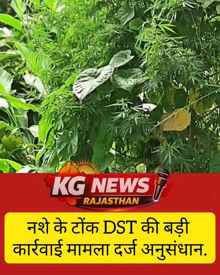 नशे के खिलाफ टोंक DST का कड़ा प्रहार,
#Tonk #TonkDST #DrugFreeTonk #NDPSAct #KGNewsRajasthan #TonkNews #RajasthanNews #DrugFreeIndia