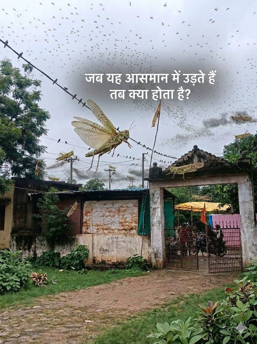 ये किसका संकेत है..😱🤔🤔🤔????
<nis:link nis:type=tag nis:id=everyonefollowers nis:value=everyonefollowers nis:enabled=true nis:link/> <nis:link nis:type=tag nis:id=everyone nis:value=everyone nis:enabled=true nis:link/>