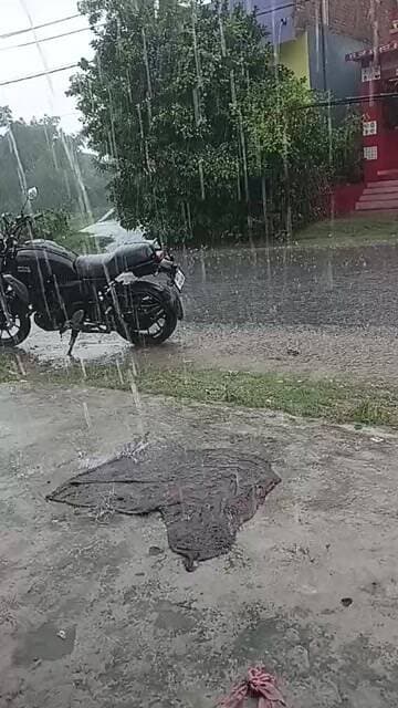 देखिए हमारें गांव गम्हरिया, सहरसा में जमकर बारिश हुई हैं..पूरा वीडियो देखिए...आपके गांव में हुआ हैं बारिश क्या नहीं..काॅमेंट बांक्स में बताए...धन्यवाद