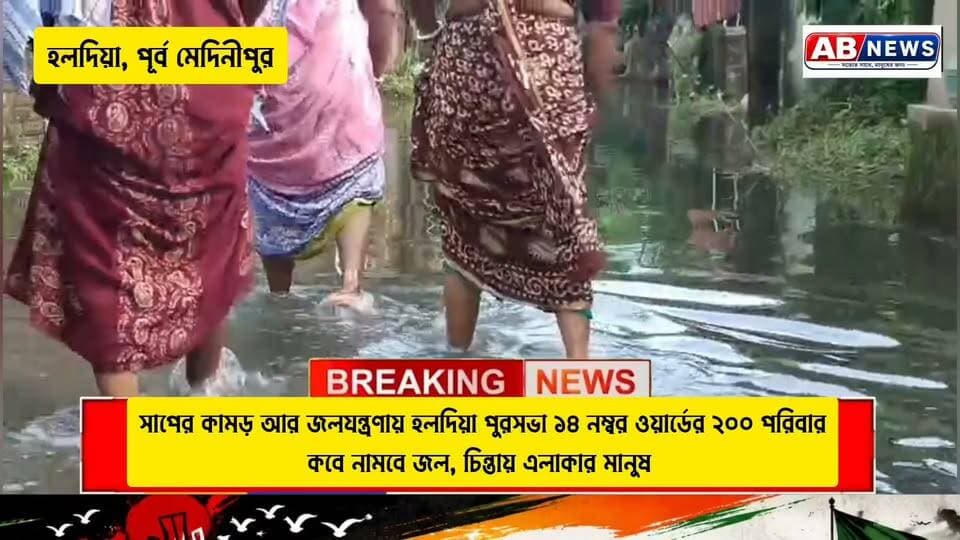 সাপের কামড় আর জলযন্ত্রণায় হলদিয়া পুরসভা ১৪ নম্বর ওয়ার্ডের ২০০ পরিবার, কবে নামবে জল, চিন্তায় এলাকার মানুষ
#viralreelsシ #postres #purbomedinipur #BJP