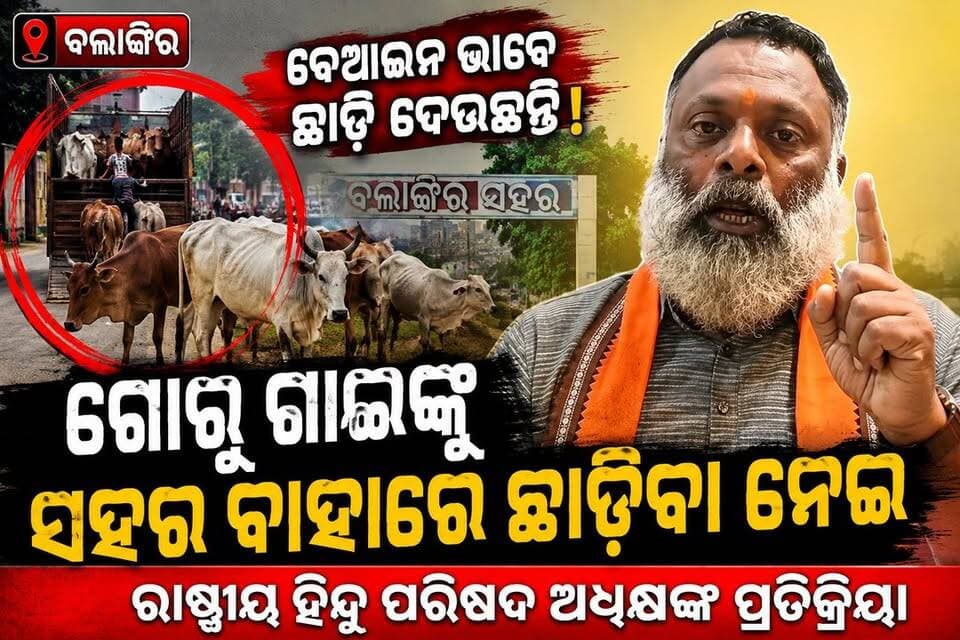 ବେଆଇନ ଭାବେ ଗୋରୁଗାଈଙ୍କୁ ସହର ବାହାରେ ଛାଡ଼ିବା ଅଭିଯୋଗ