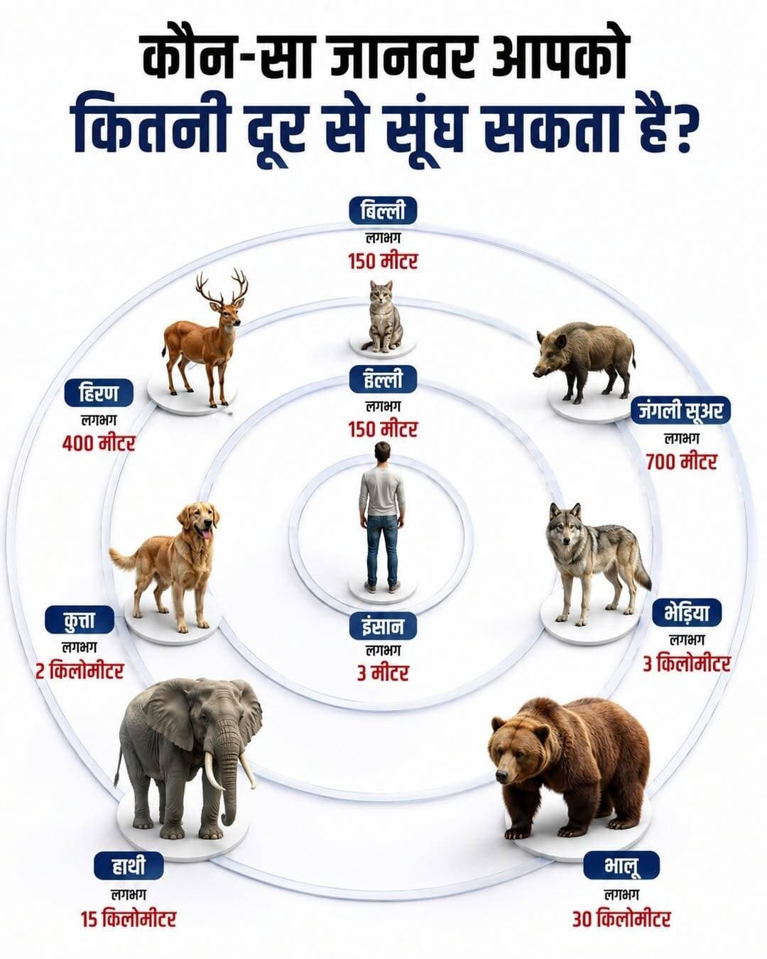 जिस जानवर को आप सबसे ताकतवर मानते हैं, हो सकता है उसकी सबसे बड़ी ताकत उसकी नाक हो!
कुछ जानवर ऐसी गंध पकड़ लेते हैं, जिसे इंसान पास खड़े होकर भी महसूस नहीं कर पाता।
हम इंसान अपनी आंखों पर सबसे ज्यादा भरोसा करते हैं, लेकिन जानवरों की दुनिया में कई बार असली खेल स्मेल का होता है। किसी को शिकार ढूंढना हो, खतरे का पता लगाना हो या अपने परिवार तक पहुंचना हो, नाक ही उनका सबसे भरोसेमंद साथी बन जाती है।
इंसान की सूंघने की क्षमता काफी सीमित मानी जाती है। इसके मुकाबले बिल्ली और हिरण कई गुना बेहतर गंध पहचान सकते हैं। जंगली सूअर तो जमीन के अंदर छिपा खाना भी ढूंढ लेते हैं। इसलिए जंगल में उनका खाना ढूंढने का तरीका वाकई कमाल का होता है।
अगर बात कुत्ते की करें, तो उसकी स्मेल पावर इतनी तेज़ होती है कि पुलिस, सेना और रेस्क्यू टीम आज भी उस पर भरोसा करती हैं। यही वजह है कि लापता लोगों की तलाश से लेकर विस्फोटक और नशीले पदार्थ पकड़ने तक, कुत्ते बड़ी भूमिका निभाते हैं।
भेड़िया कई किलोमीटर दूर तक अपने झुंड की गंध पहचान सकता है। वहीं हाथी दूर से पानी और दूसरे हाथियों का पता लगा लेता है। लेकिन इस सूची का सबसे हैरान करने वाला नाम भालू है। अनुकूल हवा मिलने पर वह कई किलोमीटर दूर मौजूद भोजन की गंध भी महसूस कर सकता है।
हालांकि एक बात जरूर याद रखिए, ऐसी दूरियां हमेशा तय नहीं होतीं। हवा की दिशा, मौसम, नमी और गंध कितनी तेज़ है, इन सब चीज़ों से नतीजे बदल सकते हैं। इसलिए इन्हें एक अनुमान के तौर पर समझना चाहिए, न कि हर स्थिति में बिल्कुल तय दूरी मान लेना चाहिए।
कुदरत ने हर जीव को जीने के लिए अलग-अलग ताकत दी है। किसी की ताकत आंखें हैं, किसी की रफ्तार और किसी की नाक।
आपके हिसाब से सबसे हैरान करने वाली सूंघने की क्षमता किस जानवर की लगी—कुत्ता, हाथी या भालू? कमेंट में जरूर बताइए।
जानकारी का ओरिजन सोर्स: नेशनल जियोग्राफिक वैज्ञानिक अध्ययन
<nis:link nis:type=tag nis:id=animals nis:value=Animals nis:enabled=true nis:link/> <nis:link nis:type=tag nis:id=wildlife nis:value=Wildlife nis:enabled=true nis:link/> <nis:link nis:type=tag nis:id=nature nis:value=Nature nis:enabled=true nis:link/> <nis:link nis:type=tag nis:id=science nis:value=Science nis:enabled=true nis:link/> <nis:link nis:type=tag nis:id=facts nis:value=Facts nis:enabled=true nis:link/>