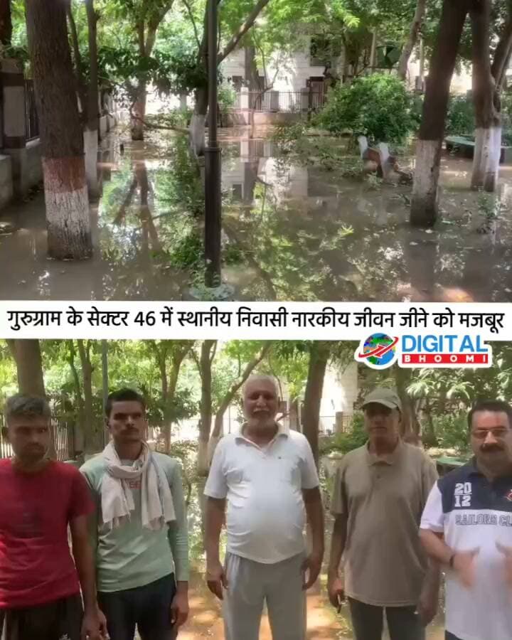 गुरुग्राम के सेक्टर 46 में स्थानीय निवासी नारकीय जीवन जीने को मजबूर: न पानी की निकासी न सड़कें...
#india #db #digitalbhoomi #explore #news #haryana #gurugram