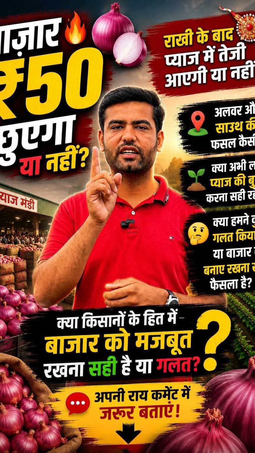 🧅🔥 बाजार ₹50 छुएगा या नहीं?
राखी के बाद प्याज में तेजी आएगी या नहीं?
अलवर और साउथ की फसल कैसी है?
क्या अभी लाल प्याज की बुवाई करना सही रहेगा?
और सबसे बड़ा सवाल — क्या हमने कुछ गलत किया है, या बाजार को बनाए रखना सही फैसला है?
👉 क्या किसानों के हित में बाजार को मजबूत रखना सही है या गलत?
अपनी राय कमेंट में जरूर बताएं। 👇
#mandibhav #Onionrate #Pyajbhav #Kisan #kanda