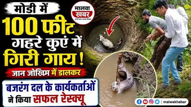 सुसनेर: मोडी में 100 फीट गहरे कुएं में गिरी गाय, जान जोखिम में डालकर बजरंग दल के कार्यकर्ताओं ने किया सफल रेस्क्यू