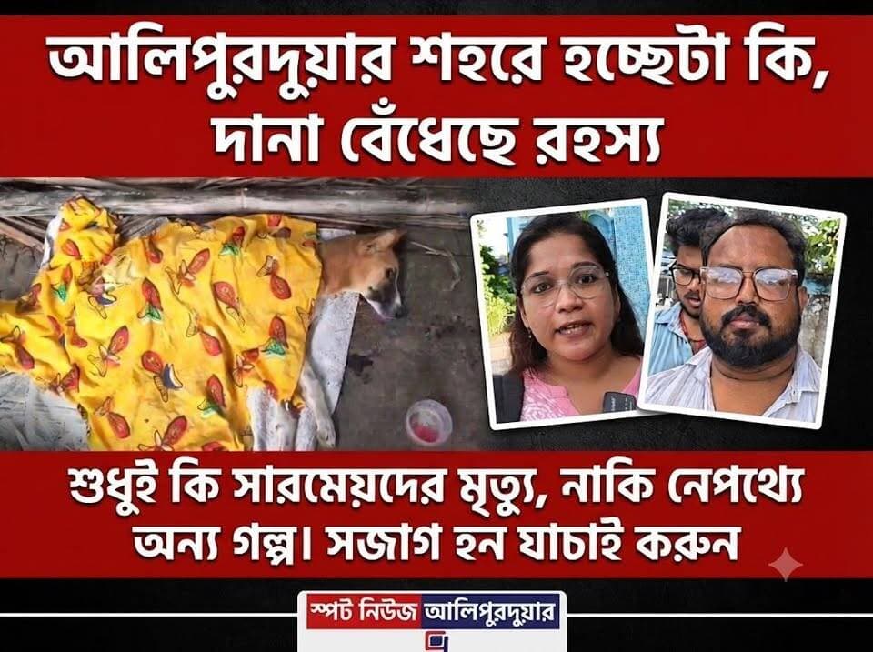 #BREAKING আলিপুরদুয়ার শহরে হচ্ছেটা কি, দানা বেঁধেছে রহস্য। শুধুই কি সারমেয়দের মৃ*ত্যু নাকি নেপথ্যে অন্য গল্প। সজাগ হন যাচাই করুন।
#dogs #streetdogs #alipurduardistrict #viral #highlightseveryone