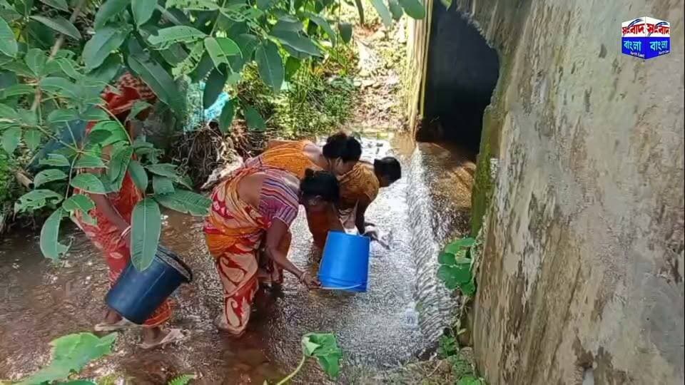 💢ভোট আসে, প্রতিশ্রুতি আসে—কিন্তু জল আসে না।নালার জলই ভরসা ৫০ পরিবারের। জনপ্রতিনিধিদের প্রতিশ্রুতিতে ক্লান্ত ধলছড়ার মানুষ💢
