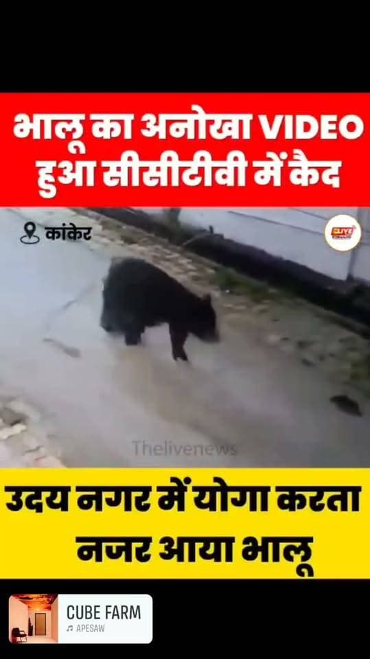 उदय नगर में भालू का अनोखा अंदाज, सड़क पर योगा करते CCTV में कैद
#viralreelschallenge #NewsUpdate #bhalu #viralreelsシ