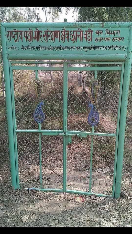 छानी बड़ी मे मोर पक्षी पोषण संस्थान को उखाड़कर प्लांट लगाने का विरोध ।
गाव में हुई आम सभा , मोरों के अंडे फोड़ने और प्रजनन केंद्र नष्ट करने वाले ठेकेदार और विभाग पर मुकदमा दर्ज करने की माँग ...