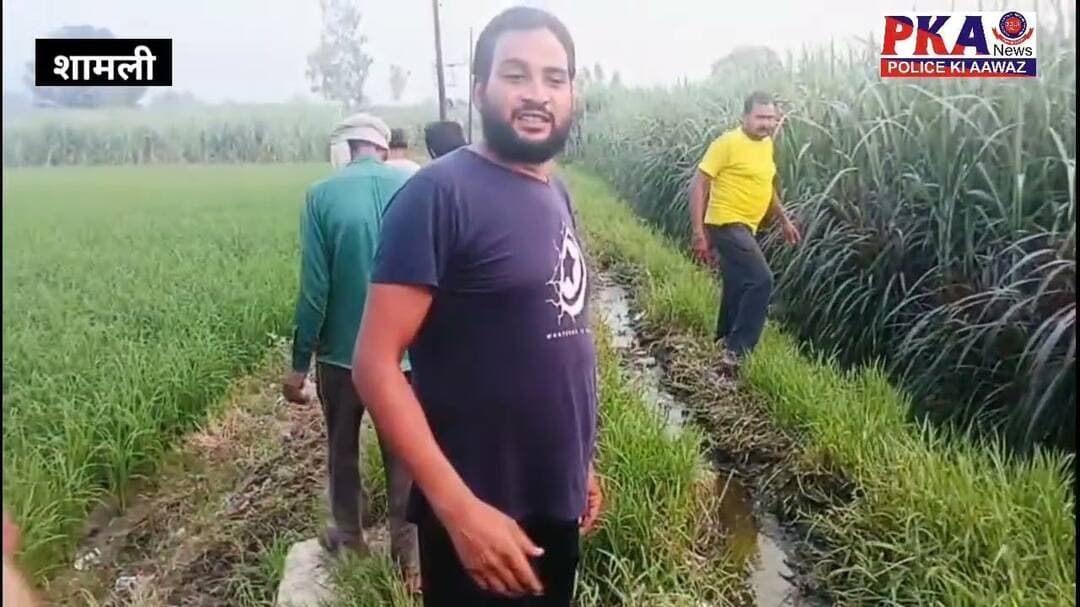 शामली गोबर और कीचड़ से दलदल बनी सड़क, ग्रामीणों का निकलना हुआ मुश्किल