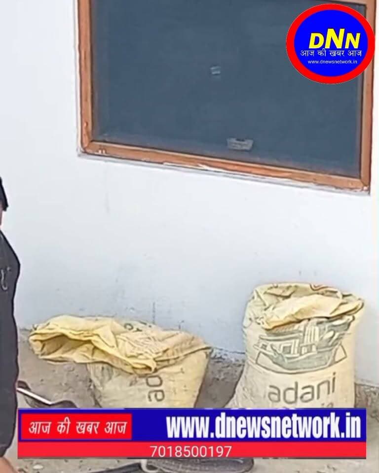 सोलन के पंजाबी खान ने पकड़े दो सांप