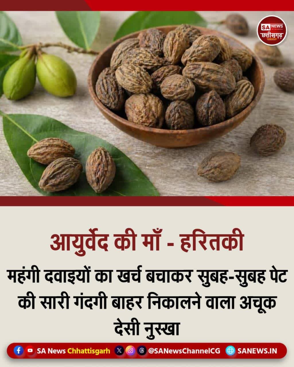 आयुर्वेद की मां - हरितकी | SA News Chhattisgarh
22-08-2026: आयुर्वेद में 'हरितकी' यानी छोटी हरड़ को जड़ी-बूटियों की 'मां' कहा जाता है। जिस तरह एक मां अपने बच्चे की हर हाल में रक्षा करती है, उसी तरह हरड़ इंसान के शरीर को गंभीर बीमारियों से बचाती है। यह मशहूर 'त्रिफला' चूर्ण का सबसे मुख्य और ताकतवर हिस्सा है। आज की भागदौड़ भरी जिंदगी और खराब खानपान की वजह से ज्यादातर लोग पेट की समस्याओं से परेशान हैं। ऐसे में हरड़ साक्षात अमृत की तरह काम करती है। यह आंतों के अंदर एक वैक्यूम क्लीनर की तरह काम करती है और चिपके हुए गंदे टॉक्सिन्स को शरीर से पूरी तरह बाहर निकाल फेंकती है। छत्तीसगढ़ के ग्रामीण और आदिवासी इलाकों में आज भी बुजुर्ग और वैद्य इसे पेट के रोगों के लिए सबसे पहली दवा मानते हैं।
अगर आपका पेट सुबह एक बार में साफ नहीं होता, भयंकर कब्ज रहती है, गैस बनती है या बवासीर की शिकायत है, तो यह हरड़ आपके लिए किसी जादुई जड़ी-बूटी से कम नहीं है। सबसे बड़ी बात यह है कि यह शरीर के तीनों दोषों वात, पित्त और कफ को एक साथ बैलेंस करती है। इसके नियमित सेवन से बुढ़ापा जल्दी नहीं आता, आंखों की रोशनी तेज होती है और याददाश्त भी बढ़ती है। बदलते मौसम में यह इम्युनिटी को इतना मजबूत कर देती है कि छोटी-मोटी बीमारियां शरीर के आसपास भी नहीं फटकतीं।
इसके सेवन का तरीका भी बेहद आसान है। कब्ज और गैस की समस्या से छुटकारा पाने के लिए रात को सोने से पहले आधा चम्मच हरड़ का चूर्ण गुनगुने पानी के साथ लेना चाहिए। इससे अगली सुबह पेट एक झटके में एकदम साफ हो जाता है। वहीं, अगर किसी को बहुत तेज खांसी आ रही है या गले में भयंकर खराश है, तो छोटी हरड़ को गाय के घी में हल्का भूनकर टॉफी की तरह चूसने से तुरंत आराम मिलता है। यह एक अकेली प्राकृतिक दवा सौ से अधिक बीमारियों को जड़ से खत्म करने की ताकत रखती है। <nis:link nis:type=tag nis:id=ayurveda nis:value=Ayurveda nis:enabled=true nis:link/> <nis:link nis:type=tag nis:id=haritaki nis:value=Haritaki nis:enabled=true nis:link/> <nis:link nis:type=tag nis:id=healthtips nis:value=HealthTips nis:enabled=true nis:link/> <nis:link nis:type=tag nis:id=chhattisgarh nis:value=Chhattisgarh nis:enabled=true nis:link/> <nis:link nis:type=tag nis:id=digestion nis:value=Digestion nis:enabled=true nis:link/> <nis:link nis:type=tag nis:id=sanewschhattisgarh nis:value=SANewsChhattisgarh nis:enabled=true nis:link/>