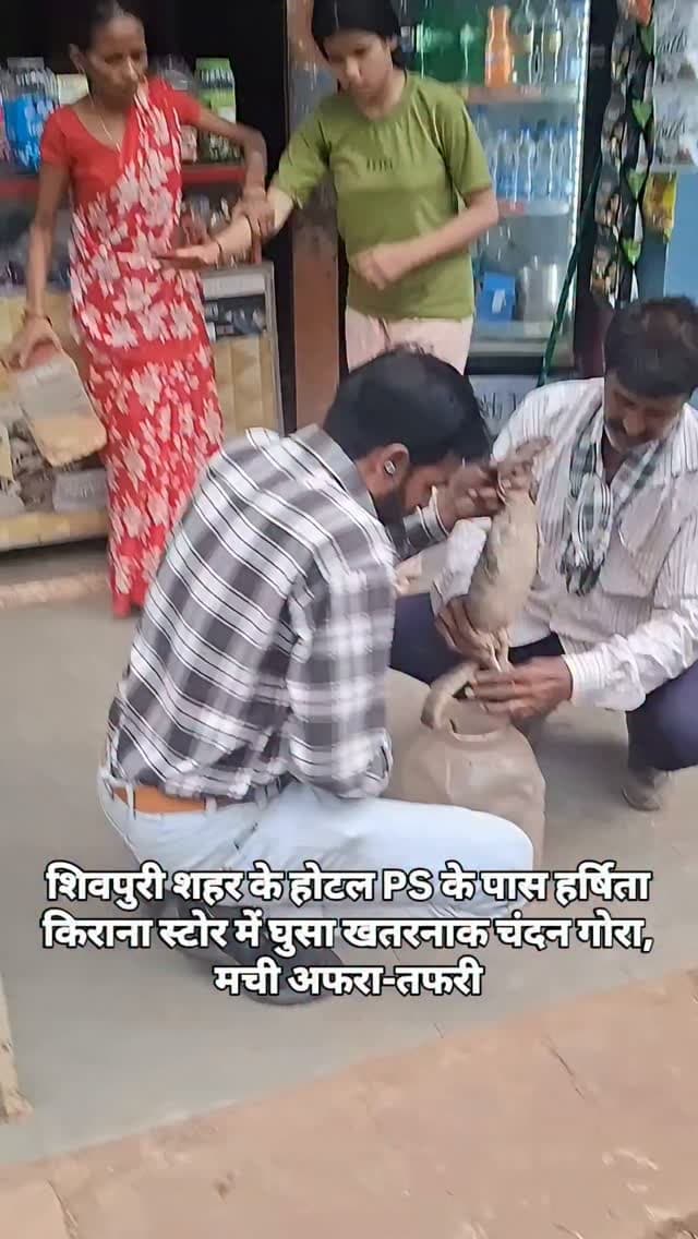 शिवपुरी शहर के होटल PS के पास हर्षिता किराना स्टोर में घुसा खतरनाक चंदन गोरा, मची अफरा-तफरी