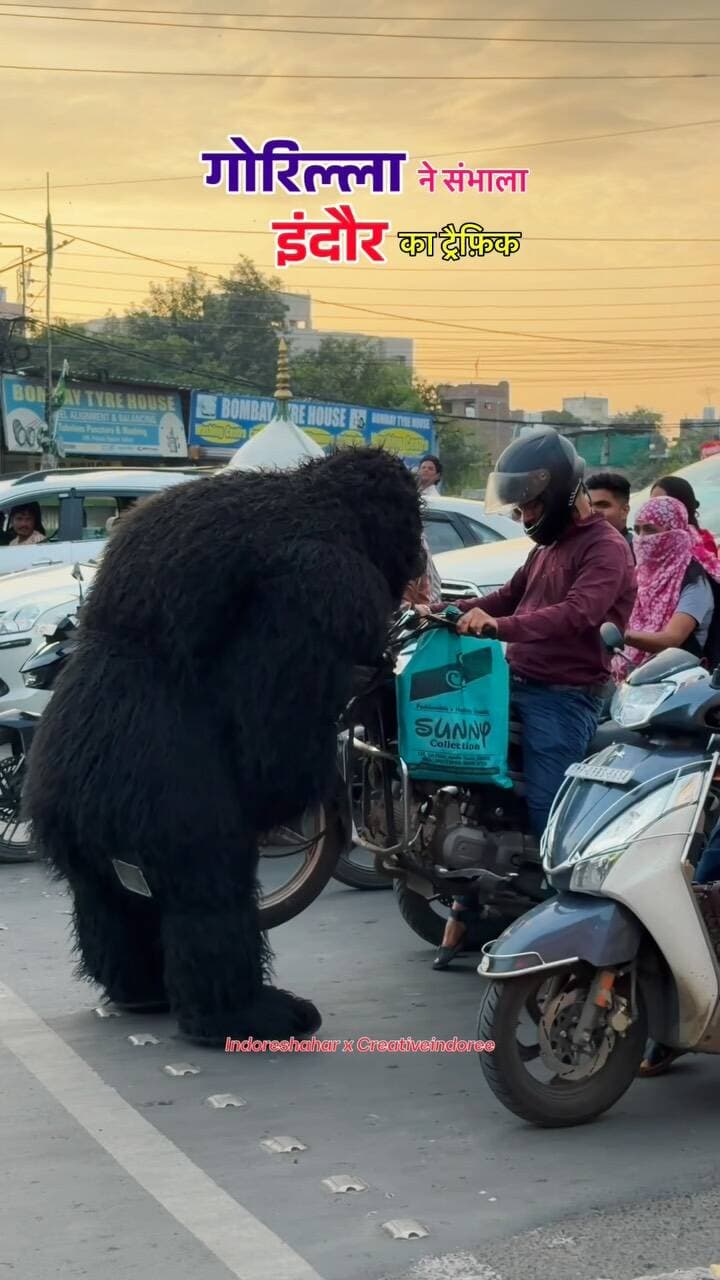 गोरिल्ला ने संभाला इंदौर का ट्रैफ़िक 🚧
.
.
.
#indoretrafficpolice #traffic #indorepolice #explorepage #indorenews