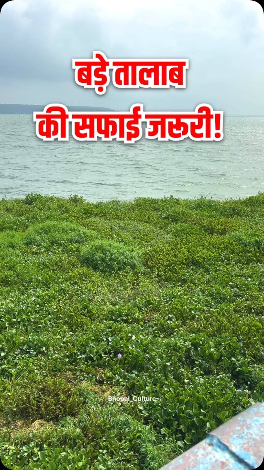 🌧️ बारिश के बाद भोपाल के बड़े तालाब और राजा भोज सेतु के आसपास कई जगह कचरा इकट्ठा हो गया है।
नगर निगम और प्रशासन से अपील है कि जल्द से जल्द सफाई कराई जाए। 🙏
💙 हमारा तालाब, हमारी जिम्मेदारी।
भोपाल की हर जानकारी और अपडेट के लिए भोपाल कल्चर पेज को फॉलो करें और इस वीडियो को ज्यादा से ज्यादा शेयर करें। 📲
#Bhopal #BhopalCulture #BhopalLake #RajaBhojSetu #BhopalNews SwachhBhopal BhopalUpdates
