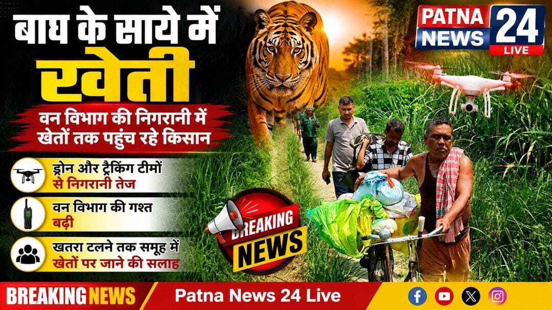 बाघ के साये में खेती, वन विभाग की निगरानी में खेतों तक पहुंच रहे किसान, गश्त बढ़ी।
ड्रोन और ट्रैकिंग टीमों से निगरानी तेज
खतरा टलने तक समूह में खेतों पर जाने की सलाह
बगहा/वाल्मीकिनगर। वाल्मीकि टाइगर रिजर्व के जंगलों से सटे भेड़ीहारी इलाकों में बाघ के हमले में किसान की मौत के बाद ग्रामीणों में दहशत का माहौल है। खेतों में काम करने वाले किसानों की सुरक्षा को लेकर वन विभाग ने निगरानी और गश्त बढ़ा दी है। अब किसान भी सामान्य दिनों की तरह अकेले खेतों की ओर जाने से बच रहे हैं। कई जगह वनकर्मियों और निगरानी टीमों की मौजूदगी में ही किसानों को खेतों तक जाने की अनुमति दी जा रही है, ताकि किसी अप्रिय घटना से बचा जा सके। प्रभावित इलाकों में वन विभाग की टीमें खेतों और सरेह के आसपास लगातार गश्त कर रही हैं। खेतों के आसपास वनकर्मियों को तैनात किया गया है। वन विभाग की टीमों का मुख्य उद्देश्य बाघ की गतिविधियों पर नजर रखना और उसकी मौजूदगी वाले क्षेत्रों को चिन्हित कर ग्रामीणों को समय रहते सतर्क करना है। वन विभाग की ओर से ग्रामीणों को स्पष्ट रूप से अकेले खेतों में नहीं जाने की सलाह दी गई है।
किसानों से कहा गया है कि वे संभव हो तो समूह में ही खेती-किसानी का काम करें और सुबह-शाम के संवेदनशील समय में खेतों में जाने से बचें। खेतों में जाने के दौरान आसपास की झाड़ियों और गन्ने अथवा ऊंची फसल वाले इलाकों में विशेष सावधानी बरतने की अपील की गई है। बाघ की तलाश और निगरानी के लिए ड्रोन कैमरों, गश्ती दलों और अन्य संसाधनों का सहारा लिया जा रहा है। संवेदनशील इलाकों में लाउडस्पीकर के माध्यम से भी ग्रामीणों को लगातार सावधान किया जा रहा है। वन विभाग की कोशिश है कि बाघ की लोकेशन का पता लगाकर उसे सुरक्षित तरीके से जंगल की ओर लौटाया जा सके। ग्रामीणों का कहना है कि खेती का मौसम होने के कारण खेतों को पूरी तरह छोड़ना संभव नहीं है। फसल की देखभाल और कृषि कार्य जरूरी हैं, लेकिन बाघ की मौजूदगी ने किसानों की चिंता बढ़ा दी है। ऐसे में वन कर्मियों की निगरानी उनके लिए सुरक्षा का बड़ा सहारा बनी हुई है। वन विभाग का मानना है कि जब तक बाघ की गतिविधियां पूरी तरह जंगल तक सीमित नहीं हो जातीं, तब तक ग्रामीणों को अतिरिक्त सतर्कता बरतनी होगी। खतरा टलने के बाद ही किसान सामान्य रूप से खेतों में काम कर सकेंगे। फिलहाल जंगल से सटे गांवों में ‘सतर्कता के साथ खेती’ ही किसानों की मजबूरी और सुरक्षा का सबसे बड़ा उपाय बनी हुई है।
