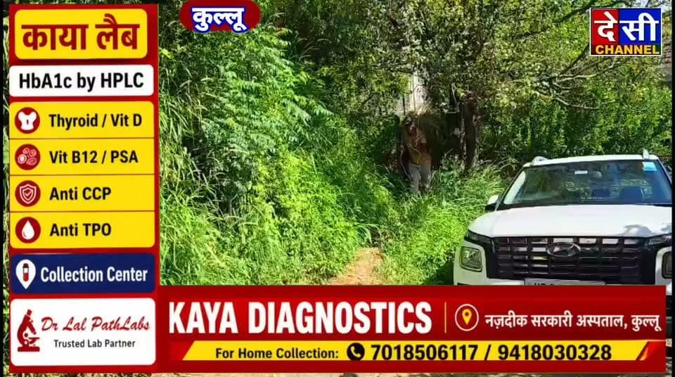 #kullu बगीचा गांव के युवा अनिल ठाकुर ने गौ सेवा रक्षादल के माध्यम से हरे घास की जीप की दान,
गौ सेवा के लिए युवाओं का आगे आना सराहनीय : शेरा नेगी
देसी चैनल कुल्लू।
जिला कुल्लू के बगीचा गांव के युवा अनिल ठाकुर ने गौ सेवा के क्षेत्र में सराहनीय पहल करते हुए गौ सेवा रक्षा दल कुल्लू के माध्यम से हरे घास यानी धाम की पहली जीप गौ धन के लिए दान की। उनकी इस पहल से अन्य युवाओं को भी गौ सेवा के लिए आगे आने की प्रेरणा मिलेगी।
गौ सेवा रक्षा दल कुल्लू के अध्यक्ष शेरा नेगी ने अनिल ठाकुर का आभार व्यक्त करते हुए कहा कि समाज के संपन्न और युवा वर्ग को गौ सेवा के लिए आगे आना चाहिए। गौ धन की सेवा और संरक्षण के लिए लोगों का सहयोग बेहद महत्वपूर्ण है।
उन्होंने इस सेवा कार्य में सहयोग देने वाले सभी गौ सेवकों और दानी सज्जनों का भी आभार जताया। इस अवसर पर कमलेश ठाकुर, अजय शर्मा, छापे राम नेगी, टिकम राम, राम राज महंत, भूपेंद्र ठाकुर, सचिन सूद, सतीश राणा, चन्द्र ठाकुर, बेली राम, तरुण कुमार, तुलसी देवी, चन्द्रा महंत, पूर्ण चंद, पिंकू भण्डारी, हुक्म राम, अमर भण्डारी, अमर ठाकुर, अजय, अमन, बोनी, सोनी, नीटू राम, आशु, भवानी दत्त, आलू, खूब राम, किशन सिंह, मन्नत नेगी, प्रदीप ठाकुर, कर्म सिंह, सुमन सूद, कातु राम, नीरज कुमार, रोशन कुमार, सुभाष, जतिन ठाकुर, दास, देव राज और चुनी महंत सहित अन्य गौ सेवकों व दानी साथियों ने सहयोग दिया।
गौ सेवा रक्षादल कुल्लू की अध्यक्ष श्रेणी की ने सबका आभार व्यक्त किया।
Shera negi
देसी चैनल कुल्लू देसी चैनल देवभूमि कुल्लू देसी चैनल कुल्लू