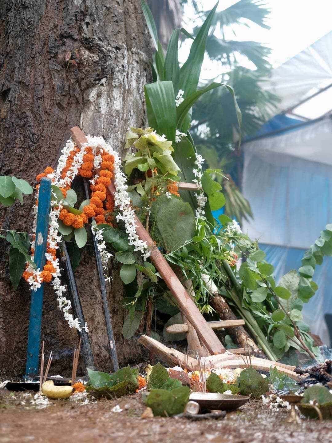 बस्तर के लोकजीवन में पर्व सिर्फ उत्सव नहीं, बल्कि प्रकृति और परंपरा के साथ जुड़ने का एक माध्यम हैं। ‘अमुस’ भी ऐसा ही प्रमुख पर्व है, जिसमें आस्था के साथ खेती-किसानी और प्रकृति के प्रति कृतज्ञता की भावना जुड़ी हुई है।
पारंपरिक कृषि औजारों की गई पूजा बस्तर की उस संस्कृति की झलक दिखाती है, जो आज भी अपनी जड़ों और पुरखों की परंपराओं को संजोए हुए है।