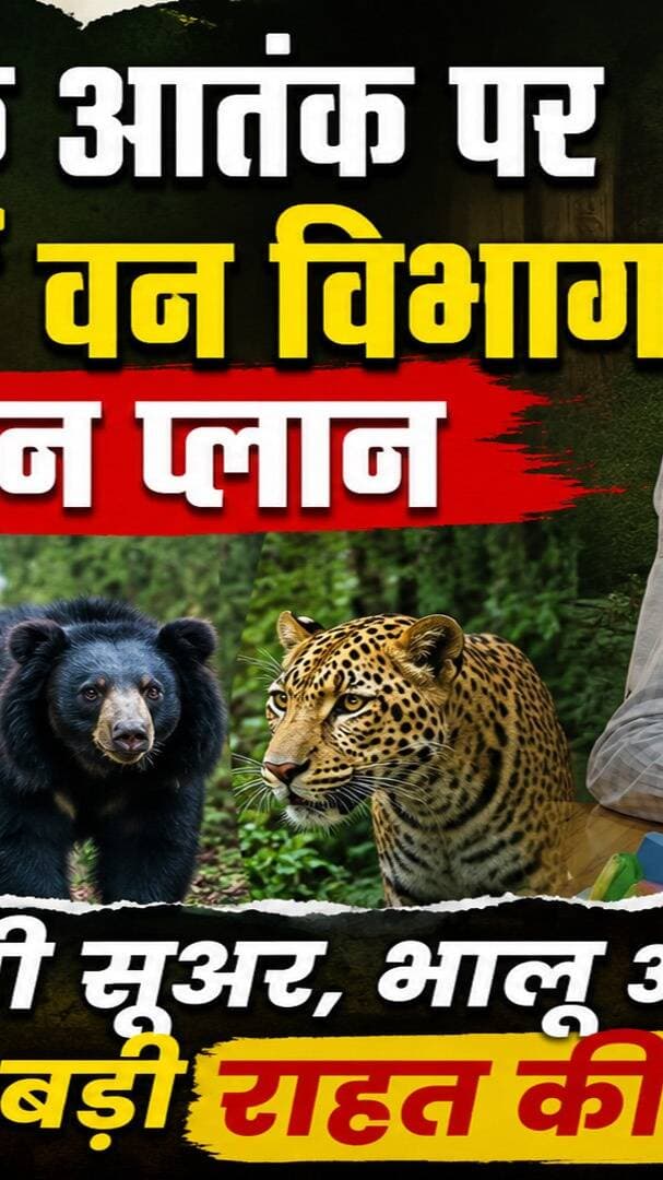 Bageshwar News: वन्यजीवों के आतंक पर DFO Prakash Arya का एक्शन प्लान, ग्रामीणों को राहत की उम्मीद I Wildlife Task Force
#AwaazIndiaDigital #Uttarakhand #Bageshwar #ForestDepartment #Wildlife #DFOPrakashArya #WildlifeTaskForce #BageshwarPolice #latestnews