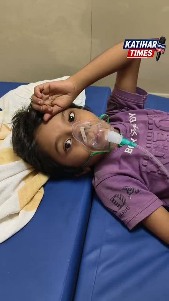 स्कूल में जहरीला सांप घुसा, आठ साल की बच्ची को डसा; 25 टीकों के बाद बची जान, सफाई व्यवस्था पर उठे सवाल
