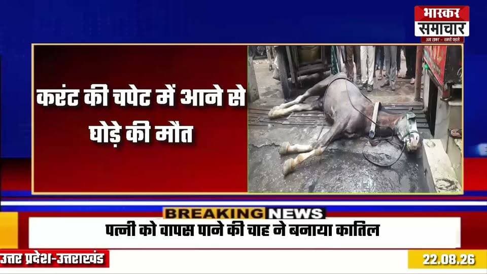 करंट की चपेट में आने से घोड़े की मौत, चालक भी झुलसा
बिजली के खंभे के चैनल में उतर रहा था करंट, दुकानदारों का आरोप- कई बार शिकायत के बाद भी नहीं जागा विभाग