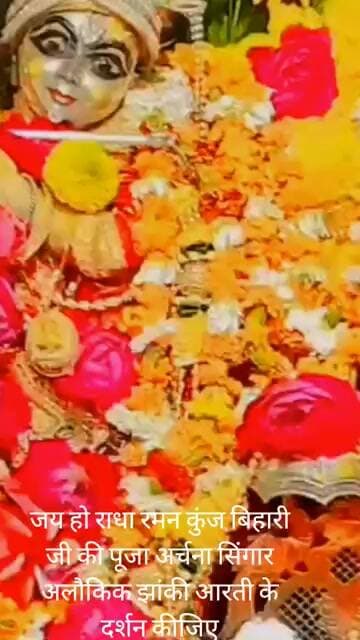 जय हो राधा रमन कुंज बिहार जी की पूजा अर्चना सिंगार अलौकिक झांकी आरती के दर्शन कीजिए