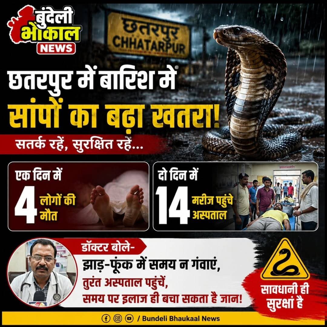 छतरपुर में बारिश के साथ बढ़ा सांपों का खतरा! एक दिन में 4 मौत, 2 दिन में 14 मरीज अस्पताल पहुंचे
छतरपुर में बारिश के बीच सर्पदंश के मामलों ने चिंता बढ़ा दी है। बताया जा रहा है कि एक दिन में 4 लोगों की मौत हुई, जबकि दो दिनों में 14 मरीज अस्पताल पहुंचे। डॉक्टरों ने लोगों से अपील की है कि सर्पदंश की स्थिति में झाड़-फूंक में समय न गंवाएं और तुरंत अस्पताल पहुंचें।
⚠️ सावधान रहें, सुरक्षित रहें।
मौत और मरीजों से जुड़े आंकड़ों की आधिकारिक पुष्टि संबंधित स्वास्थ्य विभाग/प्रशासन से होने के बाद ही अंतिम रूप से मानी जाए।
<nis:link nis:type=tag nis:id=viralnews nis:value=ViralNews nis:enabled=true nis:link/>