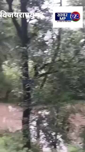 विजयराघवगढ़ के वार्ड क्रमांक 1 में रहिवासी क्षेत्र में भर रहा नाला का पानी लोगों को सता रही चिंता