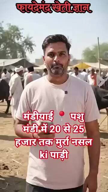 मंडी में ₹25,000 की मुर्रा पाड़ी 😱 | कीमत सुनकर रह जाएंगे हैरान! #shorts
