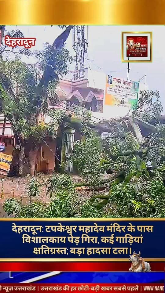 #देहरादून_टपकेश्वर_महादेव_मंदिर_के_पास_विशालकाय_आम_का_पेड़_गिरा_कई_गाड़ियां_क्षतिग्रस्त, बड़ा हादसा टला।
#देहरादून। राजधानी देहरादून के प्रसिद्ध और पौराणिक श्री टपकेश्वर महादेव मंदिर क्षेत्र से एक बड़ी खबर सामने आ रही है। मंदिर परिसर के समीप स्थित दून योगपीठ के पास अचानक एक बेहद पुराना और विशालकाय आम का वृक्ष मुख्य मार्ग पर धराशायी हो गया। यह घटना देर रात करीब 3:00 बजे की बताई जा रही है। गनीमत यह रही कि हादसा अत्यंत संवेदनशील समय पर हुआ जब सड़क पर आवागमन पूरी तरह से बंद था, अन्यथा यहाँ एक बड़ी जनहानि हो सकती थी।
#वाहनों_को_पहुंचा_भारी_नुकसान:-
स्थानीय सूत्रों से मिली जानकारी के अनुसार, पेड़ के अचानक गिरने से उसके नीचे खड़ी कुछ कारें और अन्य वाहन उसकी चपेट में आ गए। भारी-भरकम शाखाओं के मलबे के नीचे दबने के कारण ये वाहन बुरी तरह क्षतिग्रस्त हो गए हैं। गश्त कर रहे सुरक्षाकर्मियों और स्थानीय निवासियों ने घटना की तुरंत सूचना मंदिर प्रशासन और संबंधित अधिकारियों को दी।
#2_अगस्त_की_शोभायात्रा_को_लेकर_बढ़_चिंता:-
इस घटना ने स्थानीय प्रशासन और मंदिर प्रबंधन की चिंताएं बढ़ा दी हैं। आगामी 26 अगस्त को टपकेश्वर महादेव मंदिर में भव्य शोभायात्रा का आयोजन होना सुनिश्चित हुआ है। इस पावन अवसर को लेकर मंदिर परिसर में पिछले कई दिनों से युद्धस्तर पर तैयारियां चल रही हैं, जिसके कारण श्रद्धालुओं और स्थानीय लोगों का लगातार आना-जाना बना हुआ है। मुख्य मार्ग के बाधित होने से इस भव्य आयोजन की तैयारियों और व्यवस्थाओं पर सीधा असर पड़ रहा है।
#प्रशासन_से_त्वरित_कार्रवाई_की_अपील:-
योगाचार्य आचार्य डॉक्टर विपिन जोशी के माध्यम से यह जानकारी प्रमुखता से सामने आई है। आचार्य जोशी सहित मंदिर समिति और स्थानीय नागरिकों ने जिला प्रशासन और आपदा प्रबंधन टीम से पुरजोर अपील की है कि वे बिना किसी देरी के राहत कार्य शुरू करें। उन्होंने मांग की है कि भारी मशीनों और कटर की मदद से मार्ग पर गिरे पेड़ और मलबे को जल्द से जल्द हटाकर रास्ते को सुचारू रूप से खोला जाए, ताकि आगामी शोभायात्रा में आने वाले हजारों भक्तों को किसी भी प्रकार की असुविधा का सामना न करना पड़े।
"उत्तराखंड की हर बड़ी खबर सबसे पहले पाने के लिए Nandi News Uttarakhand को Follow करें।"
#Uttarakhand #Dehradun #NandiNews #BreakingNews #UttarakhandNews #TapkeshwerMandir #viralvideo