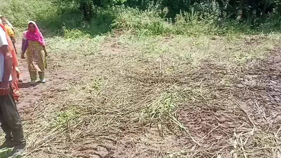 सलेटी में आयुष स्वास्थ्य केंद्र के लिए फिर एकजुट हुए ग्रामीण
पंचायत के केंद्र स्थान पर ही निर्माण की मांग दोहराई, कहा—सभी गांवों को मिले समान स्वास्थ्य सुविधा।