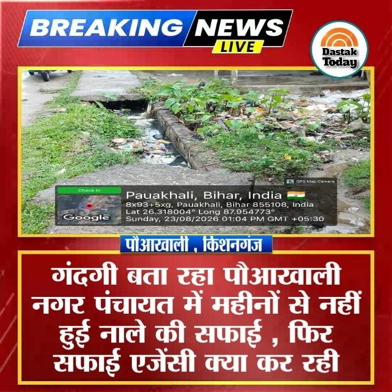 गंदगी बता रहा पौआखाली नगर पंचायत में महीनों से नहीं हुई नाले की सफाई , फिर सफाई एजेंसी क्या कर रही