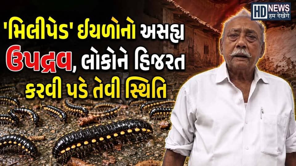 Amreli Millipede Crisis | અમરેલીમાં કાંઉસી ઈયળનો કહેર!| Humdekhenge News
#HumDekhengeNews #AmreliNews #MillipedeCrisis #Savarkundla #Khambha #GujaratNews